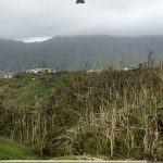 Months after Hurricane Maria, Puerto Rico pleads for help