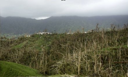 Months after Hurricane Maria, Puerto Rico pleads for help