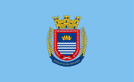 Naguabo Municipal Flag