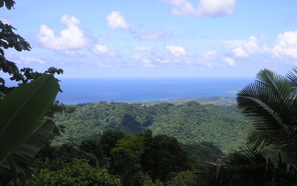 The Caribbean before the landing of Columbus