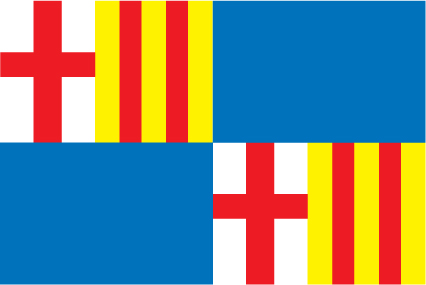 Barceloneta Municipal Flag