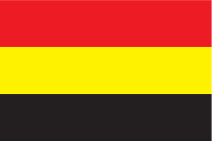 Coamo Municipal Flag