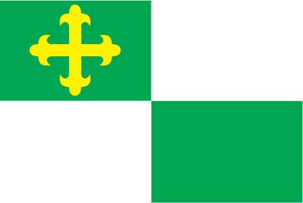 Comerio Municipal Flag