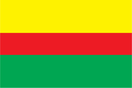 Humacao Municipal Flag