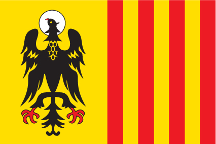 Morovis Municipal Flag