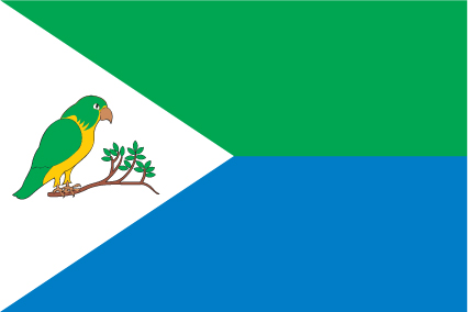 Rio Grande Municipal Flag
