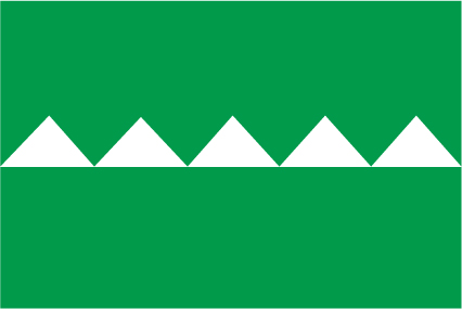 Salinas Municipal Flag