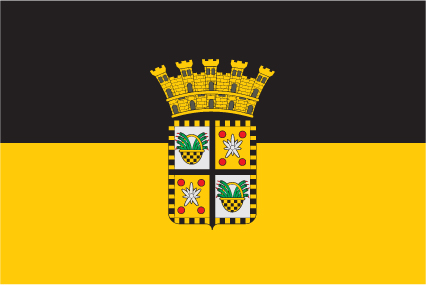 Yauco Municipal Flag